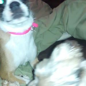 Meet your Posher, Cora